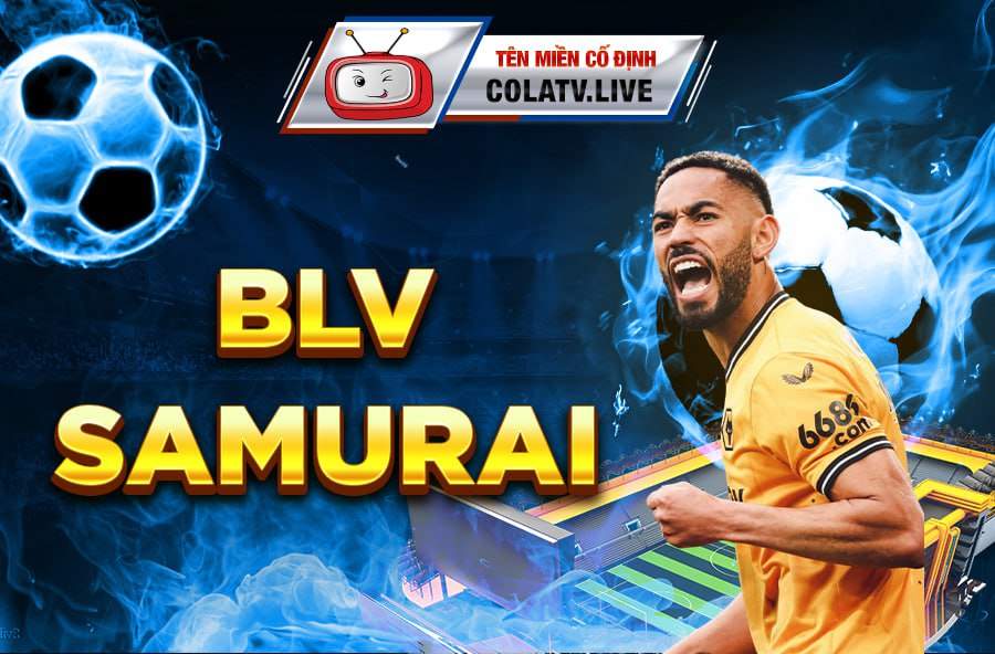 BLV 247